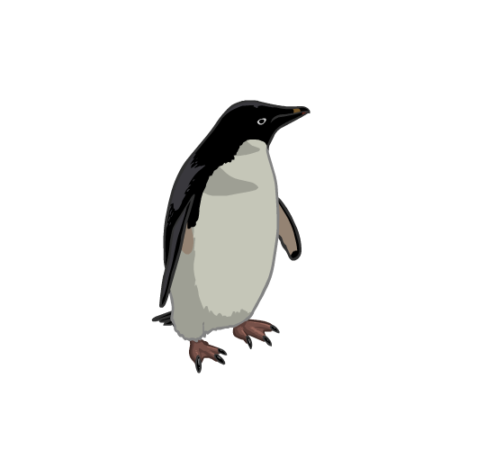 An illustration of a penguin, standing and looking to its side.