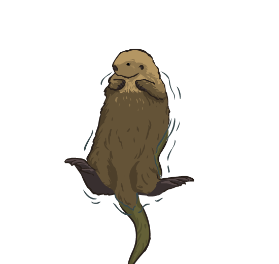 An illustration of a sea otter floating on its back in the water.