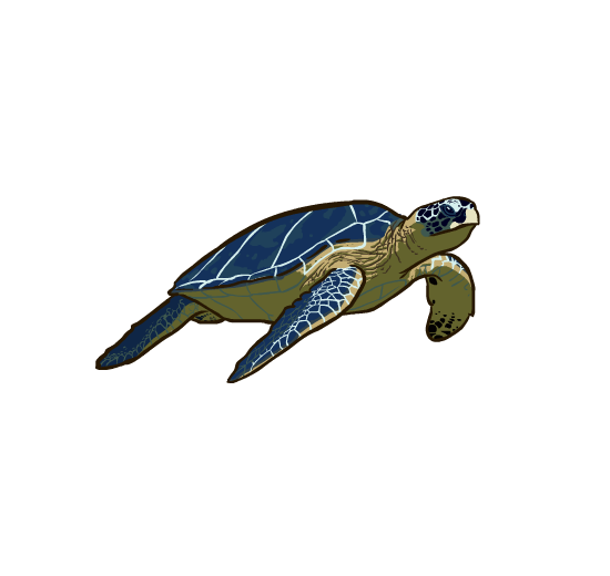 An illustration of a sea turtle swimming through the water.