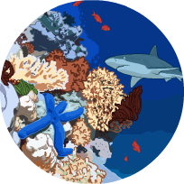 An illustration of an ocean scene featuring a shark and small red fish all swimming next to a coral reef.