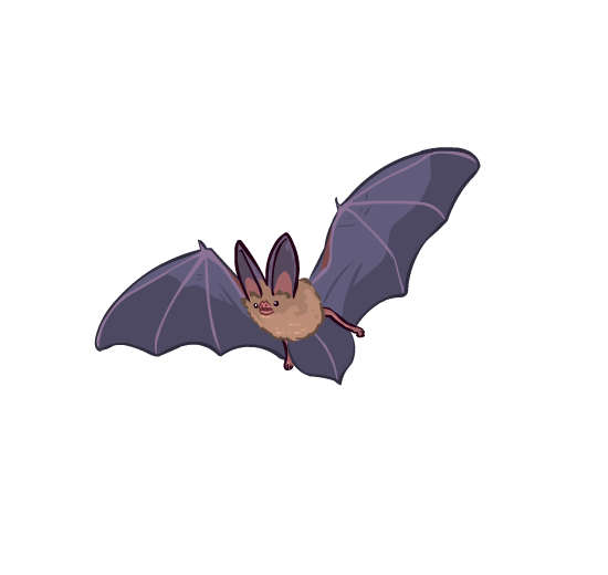 An illustration of a bat flying through the air.