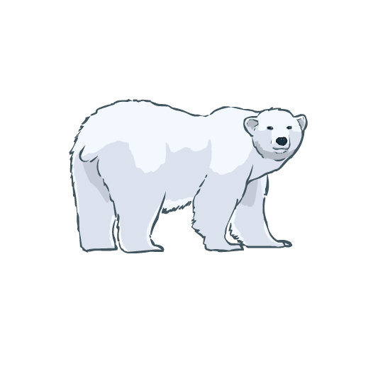 An illustration of a polar bear from the side. It is looking at the viewer.
