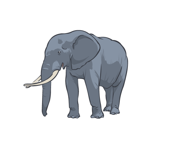 An illustration of an elephant walking.