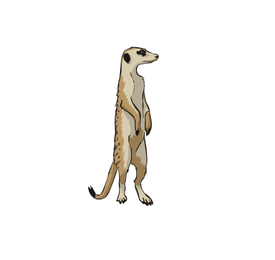 An illustration of a meerkat, standing on its two hind legs, looking around.