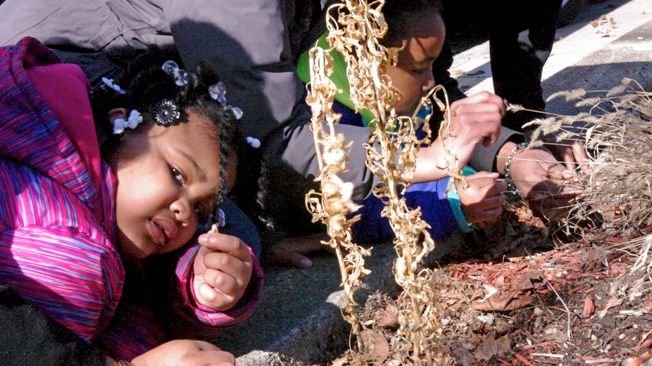 Girl holds up plant